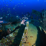 BOONSUNG WRECK - Diving Trip (from Khao Lak)